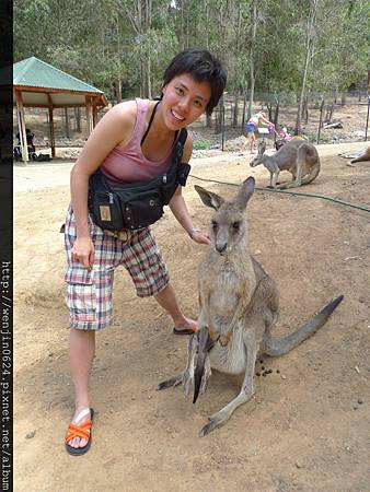 Currumbin Wildlife Sanctuary