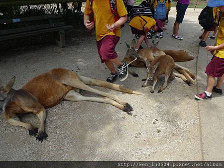 Currumbin Wildlife Sanctuary