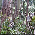 Currumbin Wildlife Sanctuary