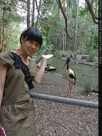 Currumbin Wildlife Sanctuary