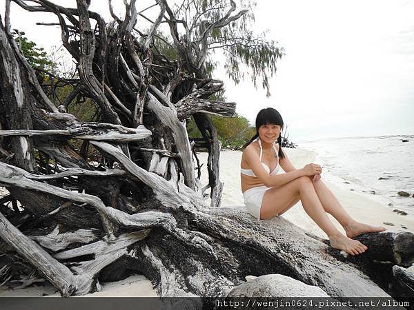 Heron Island