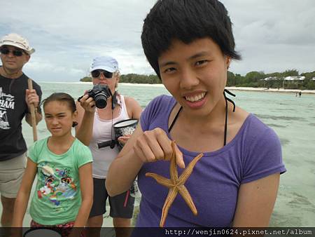 Heron Island