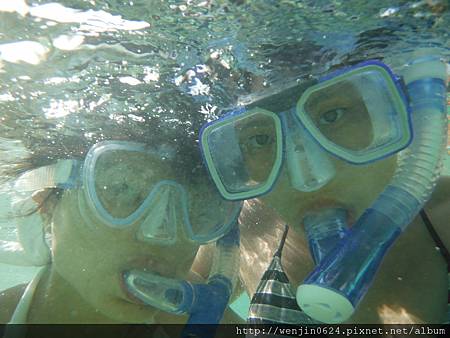 Heron Island