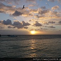 Heron Island