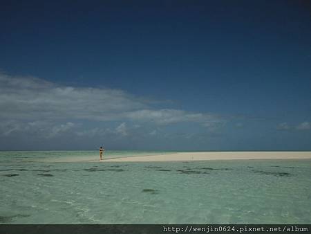 Heron Island