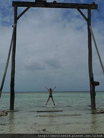 Heron Island