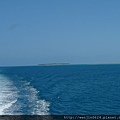 Heron Island