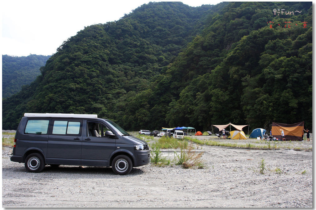 野放~宜花東IMG_9654a.jpg