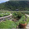 陽明山.竹子湖.夢幻湖