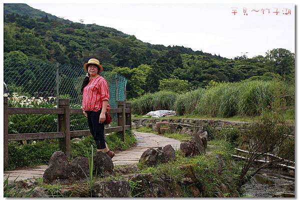 芋見.竹子湖