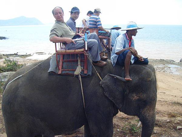 Thai Sea View象棧叢林海岸騎大象挺有趣的