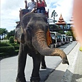 好心的駕駛大象人一直幫我們照相