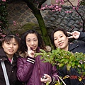 高橋稻荷神社的梅花真的很美喔.JPG