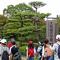 大阪城的樹.JPG