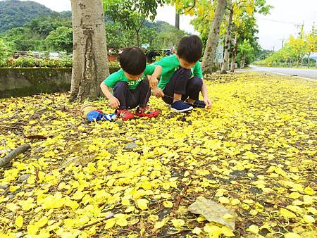 IMG_8175 IMG_8175