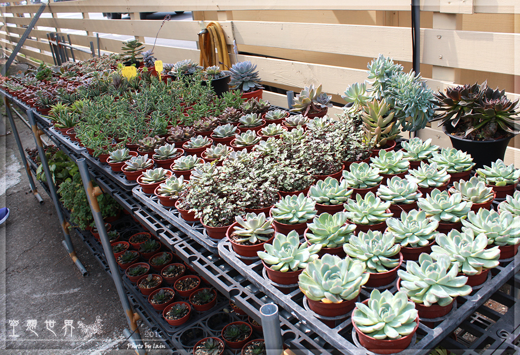 %E5%BD%B0%E5%8C%96%E7%94%B0%E5%B0%BE