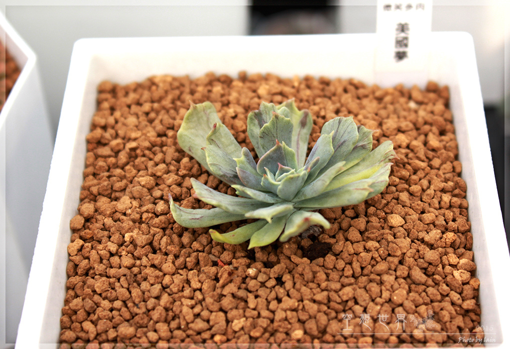 %E5%BD%B0%E5%8C%96%E7%94%B0%E5%B0%BE