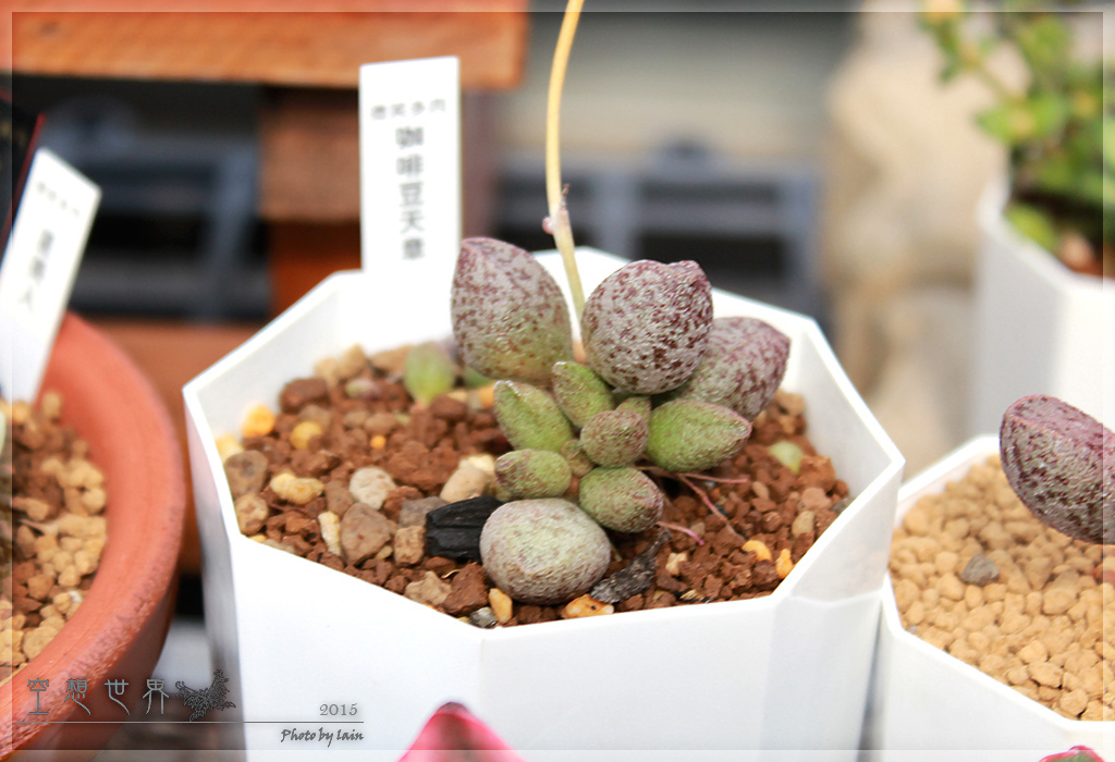 %E5%BD%B0%E5%8C%96%E7%94%B0%E5%B0%BE