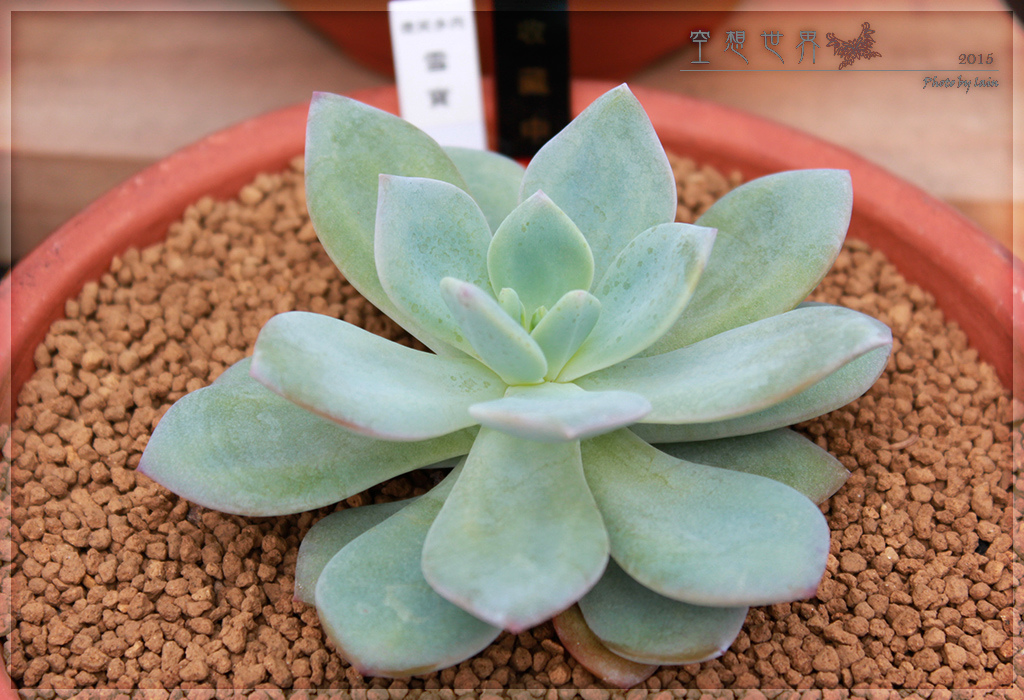 %E5%BD%B0%E5%8C%96%E7%94%B0%E5%B0%BE