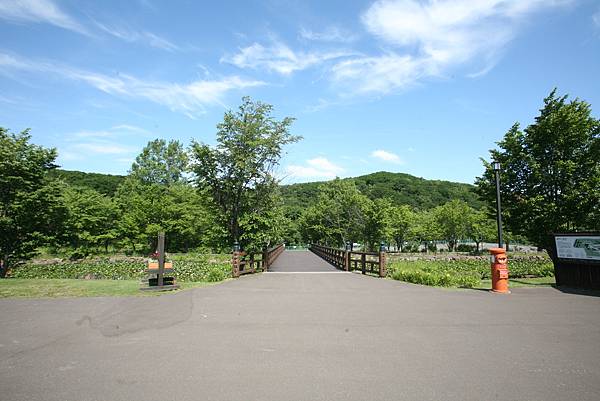 北海道露營_16-07-08_3627.JPG