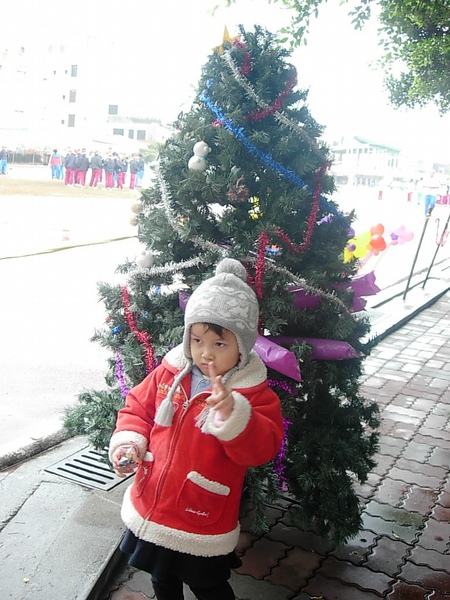 聖誕樹與綾綾