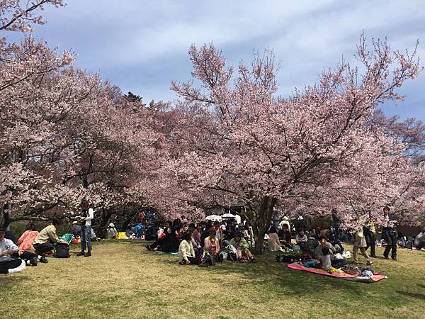 高遠城址公園