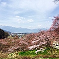 高遠城址公園