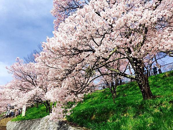高遠城址公園 高遠城址公園