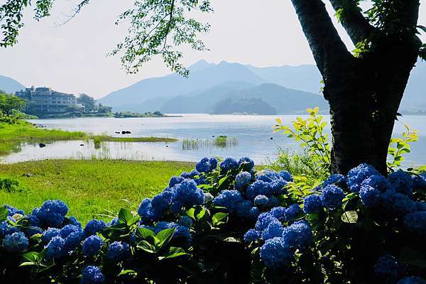 18小旅行 藍配紫 是河口湖的夏天 晚安台北 早安東京 痞客邦 18小旅行 藍配紫 是河口湖的夏天 晚安台北 早安東京 痞客邦