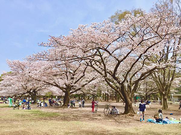 光之丘公園