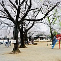 鴻巢公園