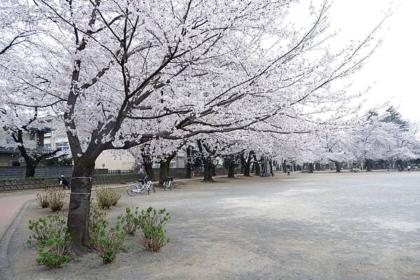 鴻巢公園