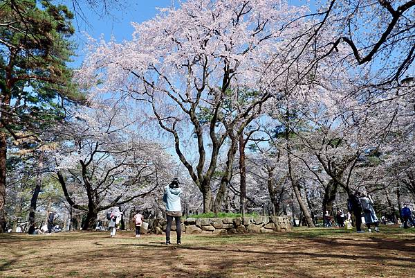 大宮公園