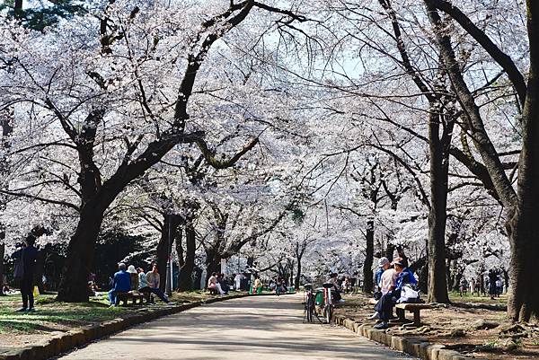 大宮公園