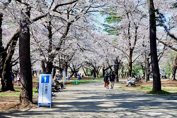 大宮公園