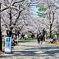 大宮公園