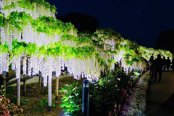 足利花卉公園