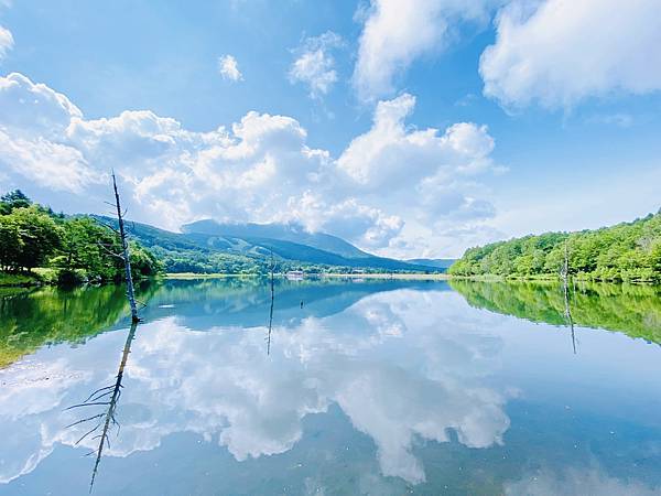 IMG_0191.jpg IMG_0191.jpg