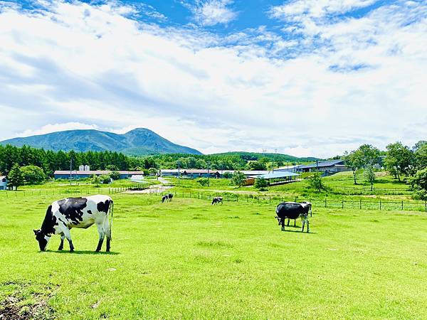 長門牧場 長門牧場