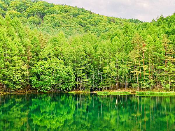 御射鹿池 御射鹿池