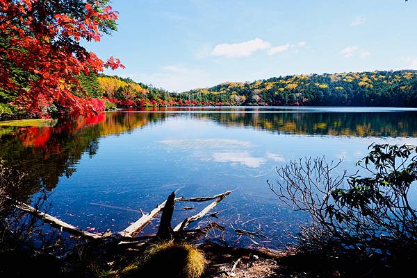 DSCF7301.jpg DSCF7301.jpg