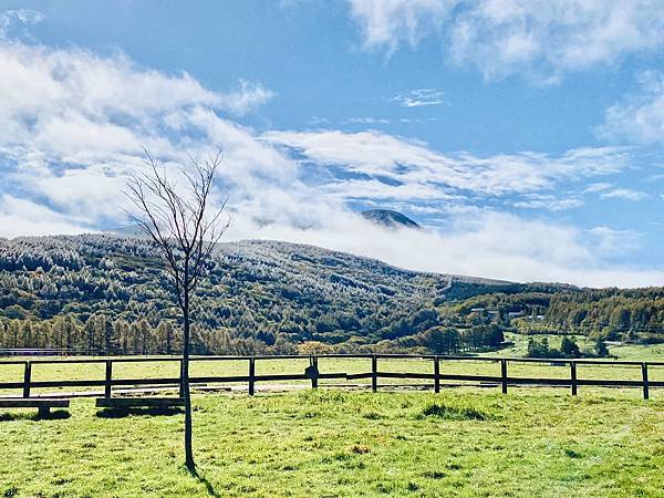 IMG_2271.JPG IMG_2271.JPG