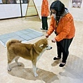 秋田犬の里