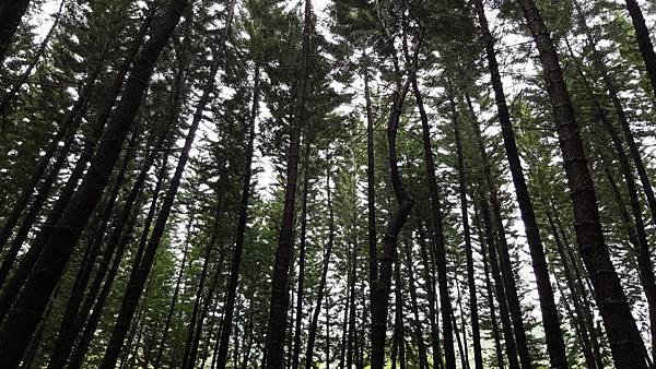 20160319_141424.jpg 20160319_141424.jpg
