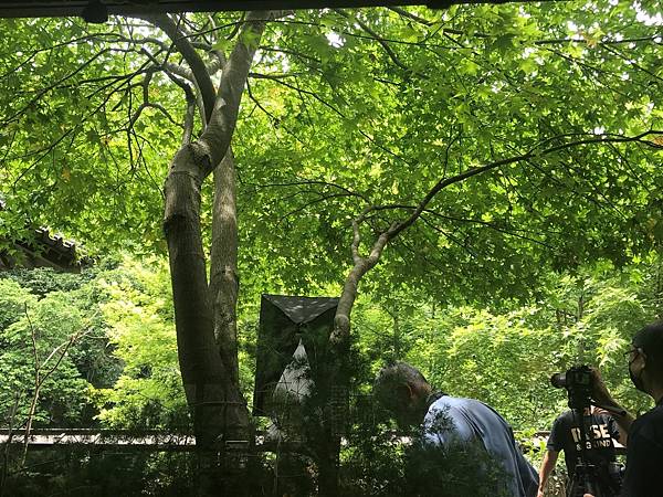 非常有禪意的新北市土城鹿鶴園餐廳