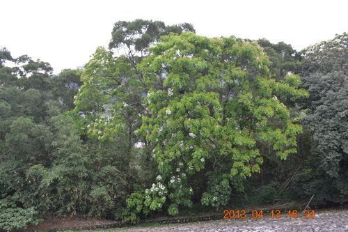 苗栗三灣鄉永和山水庫