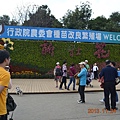 2013.11.25新社花海 030