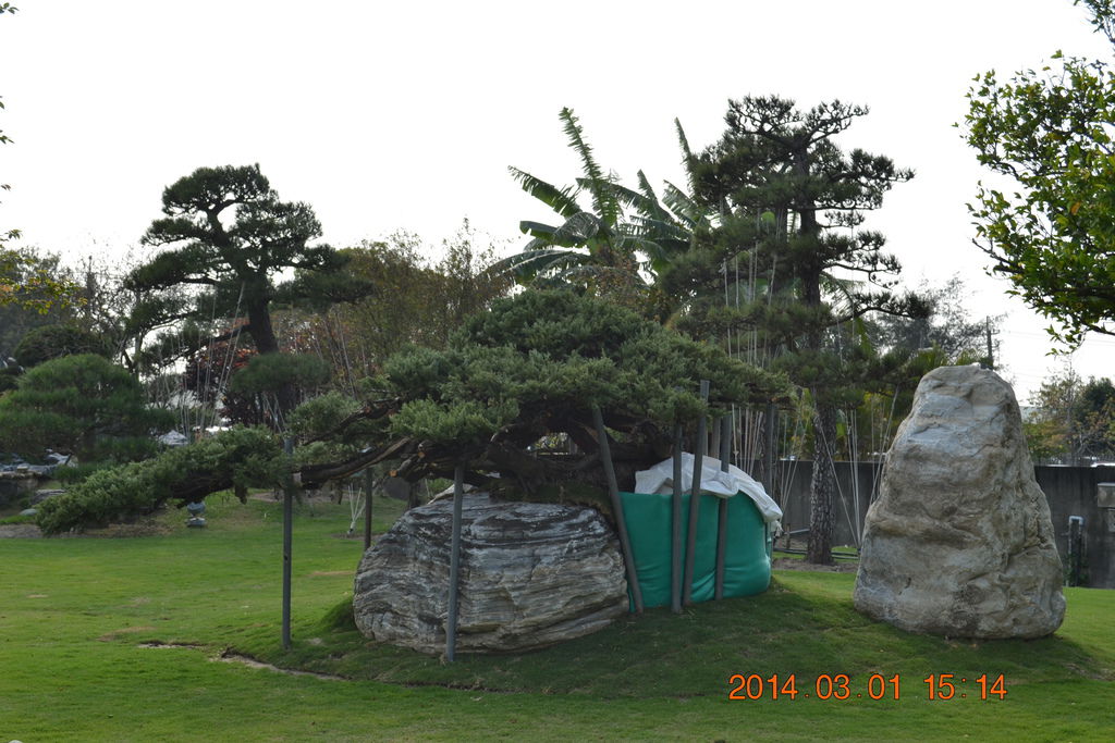 DSC_0065 DSC_0065