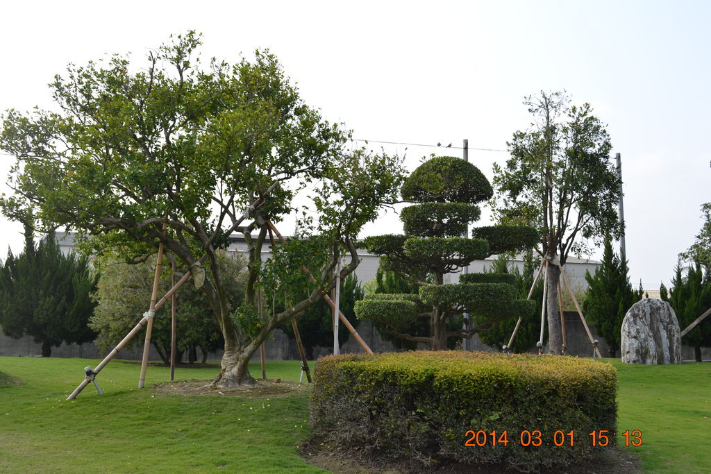 DSC_0064 DSC_0064