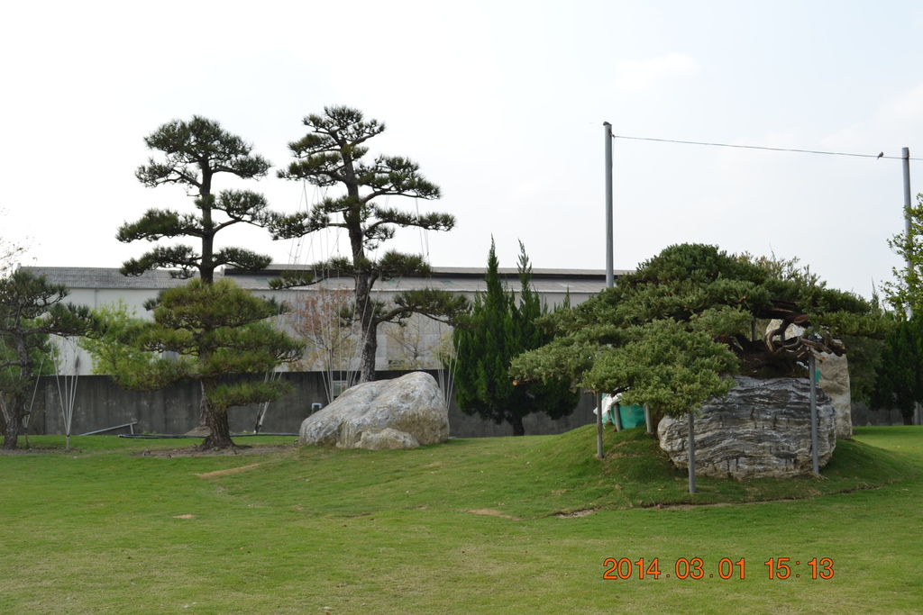 DSC_0061 DSC_0061